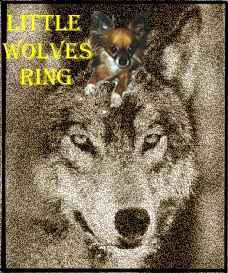 Little Wolves Web Ring Home Page