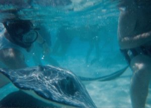 Stingray City