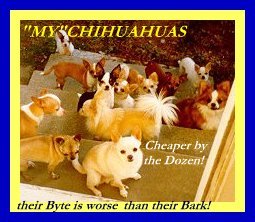 Patterson Puppies