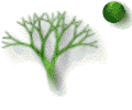 RMWD Logo